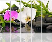 Schilderij , Orchideeën  op stenen  , multikleur ,4 maten , 5 luik , wanddecoratie , Premium print , XXL