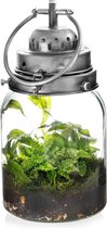 Planten terrarium met Verlichting - Ecoworld Jungle Lantaarn - Inclusief planten - Ø 16 cm - Hoogte 30 cm - Zilver