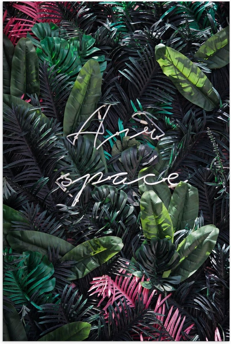 Poster – ''Air Space'' Palmbladeren - 60x90cm Foto op Posterpapier
