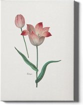 Walljar - Tulipa II - Muurdecoratie - Canvas schilderij