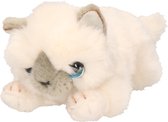 Keel Toys pluche witte kat/poes katten knuffel 25 cm - katten knuffeldieren - Speelgoed voor kinderen
