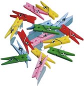 miniwasknijpers 2,5 cm 20 stuks