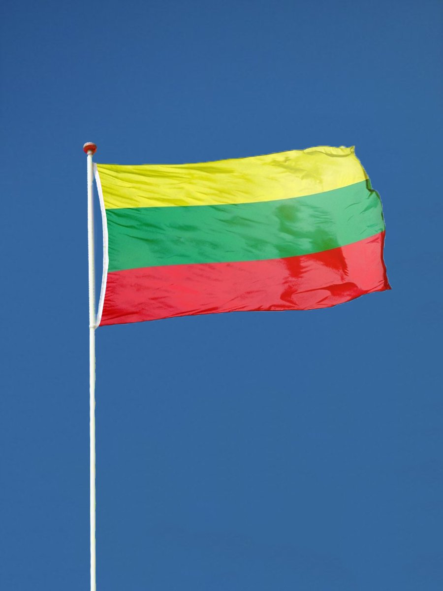Litouwse Vlag - Litouwen Vlag - 90x150cm - WK Voetbal 2026 - Lithuanian Flag - Originele Kleuren - Sterke Kwaliteit Incl Bevestigingsringen - Hoogmoed Vlaggen