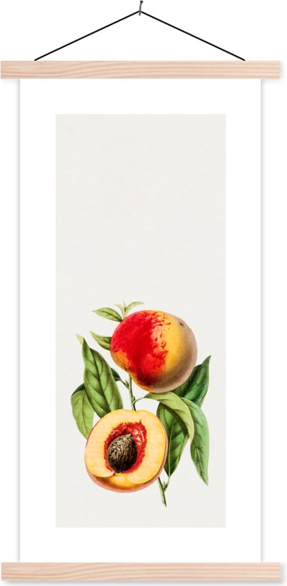 Porte-affiche avec affiche - Affiche scolaire - Pêche - Fruits - Nourriture - 60x120 cm - Lattes vierges