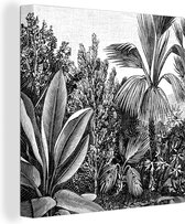 Canvas Schilderij Planten - Natuur - Design - Illustratie - Ernst Haeckel - 90x90 cm - Wanddecoratie
