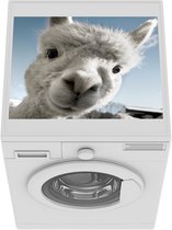 Wasmachine beschermer mat - Alpaca - Wit - Dier - Breedte 55 cm x hoogte 45 cm