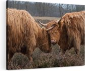 Artaza Canvas Schilderij Twee Schotse Hooglanders Knuffelen Elkaar - 120x80 - Groot - Foto Op Canvas - Wanddecoratie Woonkamer