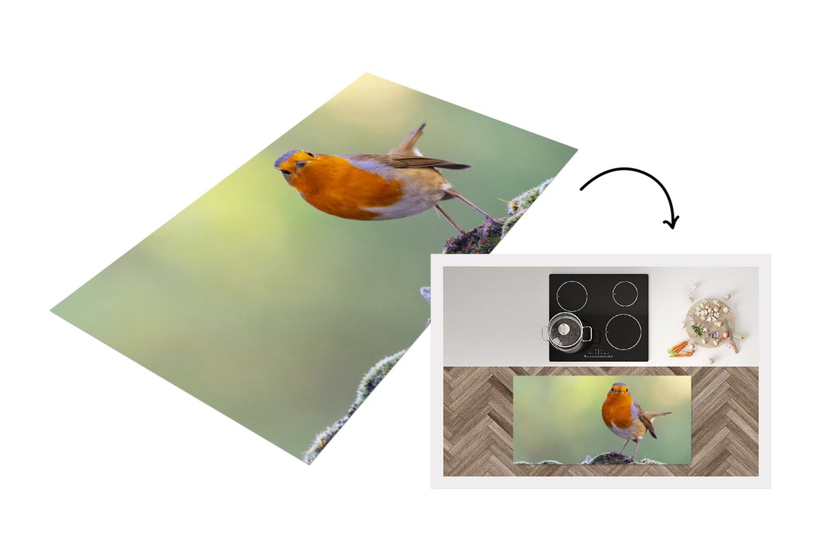 KitchenYeah Keukenloper - Loper keuken - Stenen - Roodborstje - Natuur - 120x60 cm - Keukenloper vinyl Multicolor