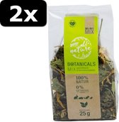 2x BOTANICALS MINI ECHINA/ZONNEBL 25GR