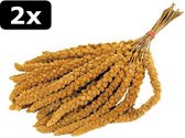 2x PRESTIGE TROSGIERST 300GR