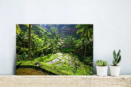Aluminium schilderij 30x20 cm - Wanddecoratie metaal - Spectaculaire rijstvelden ten noorden van Ubud - Metalen muurdecoratie woonkamer - Decoratie industrieel - Foto op dibond - Industriële accessoires slaapkamer