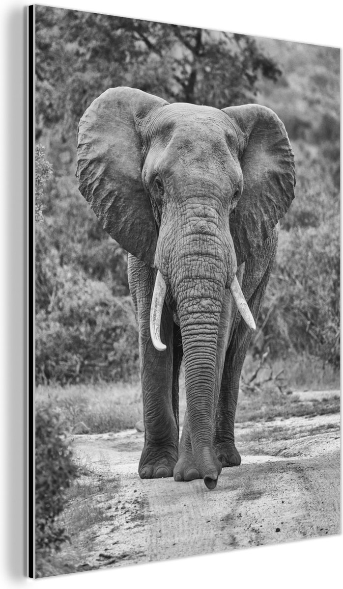 Wanddecoratie Metaal - Aluminium Schilderij Industrieel - Olifant zwart-wit gecentreerd -