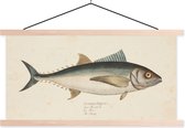 Porte-affiche avec affiche - Affiche scolaire - Une illustration vintage d'un poisson - 120x60 cm - Lattes vierges