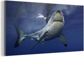 Wanddecoratie Metaal - Aluminium Schilderij Industrieel - Grote witte haai - 160x80 cm - Dibond - Foto op aluminium - Industriële muurdecoratie - Voor de woonkamer/slaapkamer
