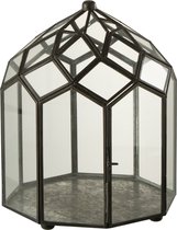 J-Line Terrarium Glas/Metaal Zwart Small