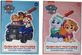Paw Patrol Prikblok 2 assorti