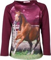 Meisjes trui / shirt  paard aubergine | Maat 116/ 6Y