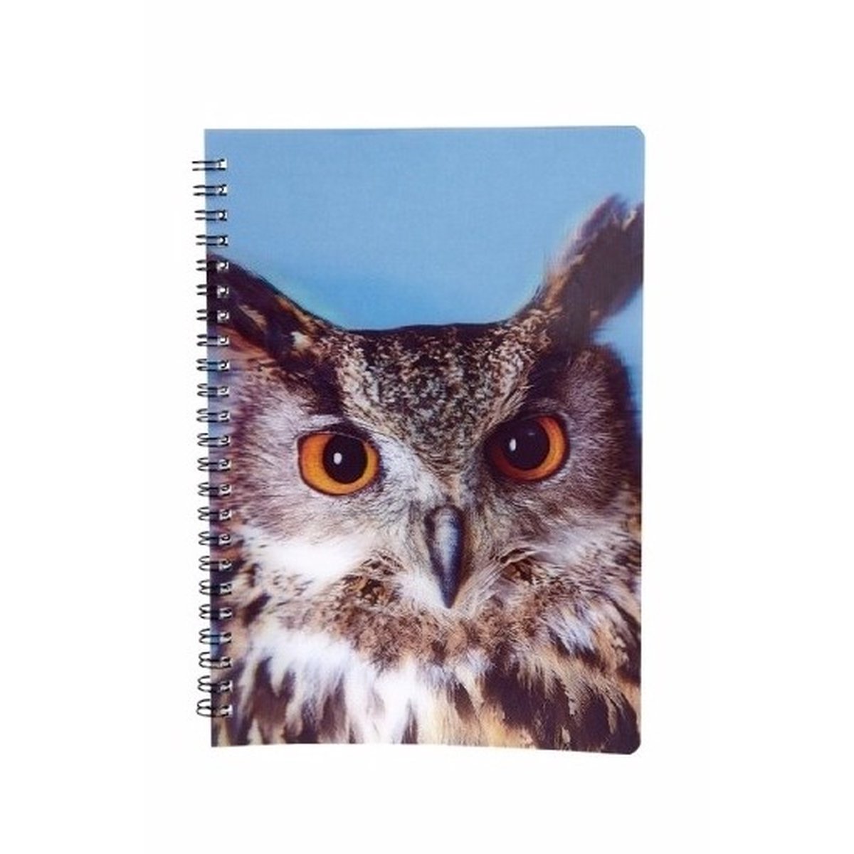 Uilen vogels thema schrift notitieboekje 3D 21cm - Opschrijfboekjes/school schriften