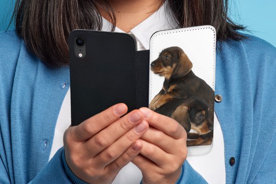 Telefoonhoesje Geschikt voor iPhone XR telefoonhoesje - Studio foto van twee lieve Teckels - Met vakjes - Wallet case met magneetsluiting