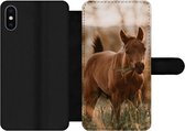 Bookcase Geschikt voor iPhone X telefoonhoesje - Paard - Zon - Gras - Met vakjes - Wallet case met magneetsluiting
