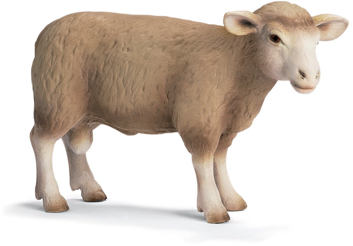 Ram Schleich