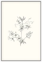 Rankende Helmbloem zwart-wit Schets (Climbing Corydalis) - Foto op Akoestisch paneel - 150 x 225 cm