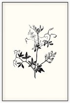 Rankende Helmbloem zwart-wit (Climbing Corydalis) - Foto op Akoestisch paneel - 150 x 225 cm