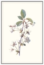 Kersbloem (Cherry) - Foto op Akoestisch paneel - 80 x 120 cm