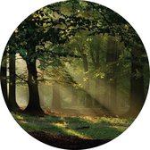 Sanders & Sanders zelfklevende behangcirkel bosrijk landschap groen - 601097 - Ø 70 cm
