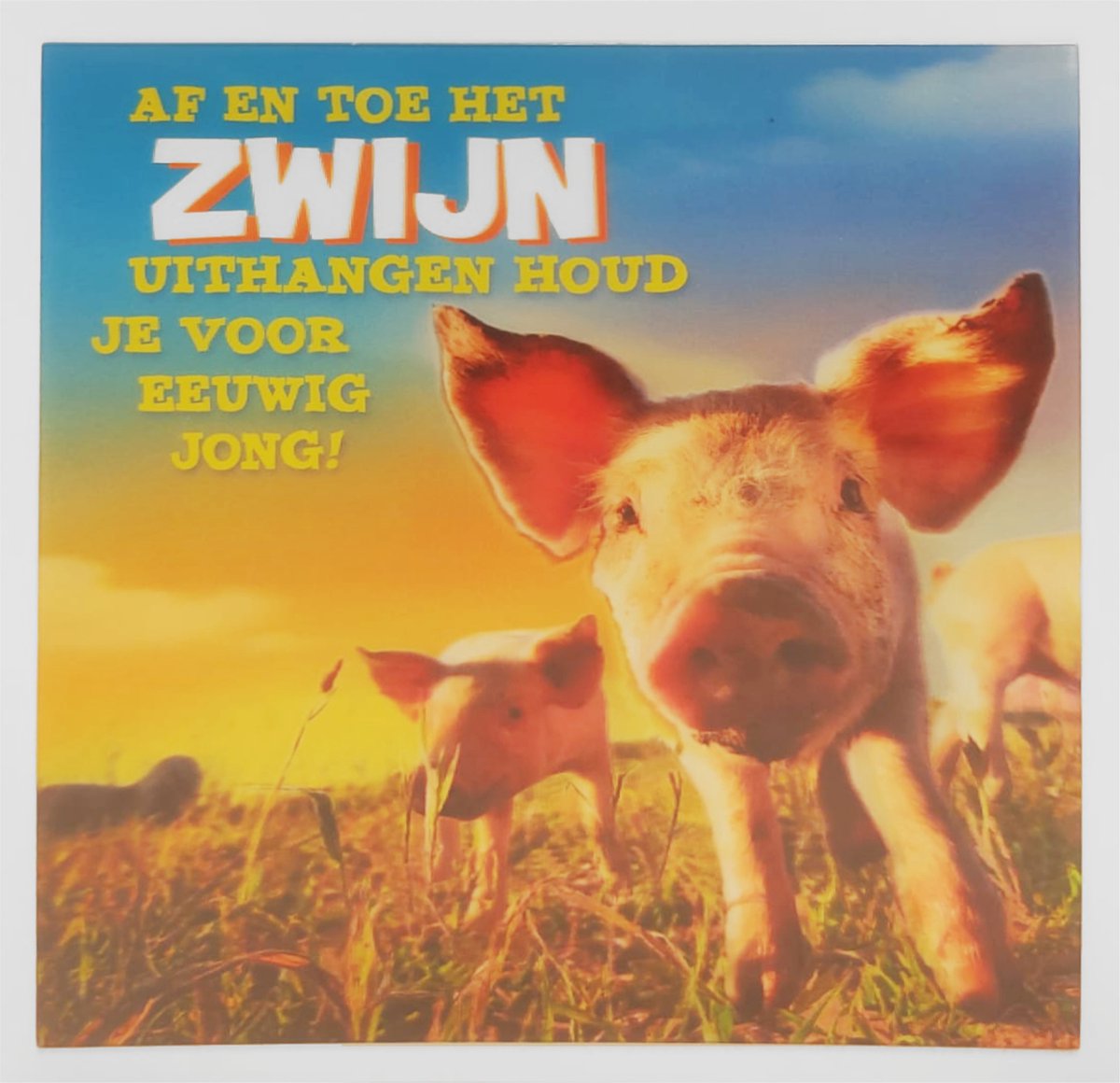 Depesche - 3D wenskaart met varken en de tekst "Af en toe het zwijn uithangen, houd je voor eeuwig jong!" - 018