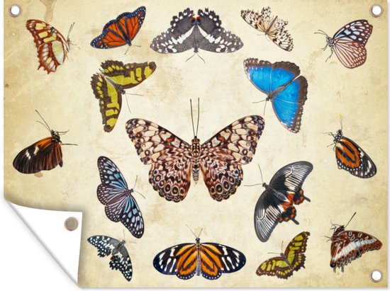 Botanische print vlinders Tuinposter 60x40 cm - Foto op Tuinposter (tuin decoratie)