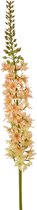 Viv! Home Luxuries Eremurus - zijden bloem - Perzik - 100cm - topkwaliteit