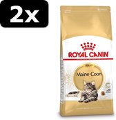 2x RC MAINE COON 4KG