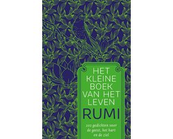 Omslag van Patroon - Het kleine boek van het leven