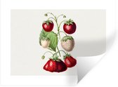 Muurstickers - Sticker Folie - Aardbeien - Plant - Eten - 40x30 cm - Plakfolie - Muurstickers Kinderkamer - Zelfklevend Behang - Zelfklevend behangpapier - Stickerfolie