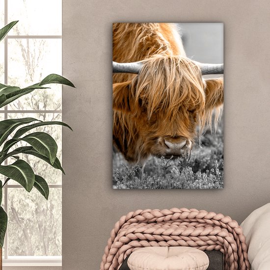 Tableau sur toile Scottish Highlander - Animaux - Marron - Vache - Zwart - Wit - Nature - 40x60 cm - Décoration murale