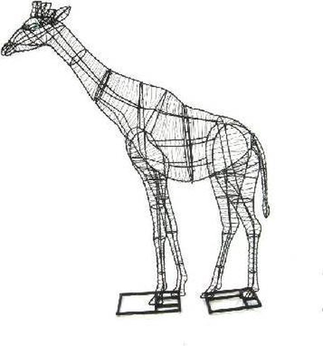 Giraffe - Frame