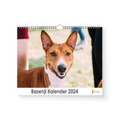 Kalender 2024 - Basenji - 35x24cm - 300gms - Spiraalgebonden - Inclusief ophanghaak
