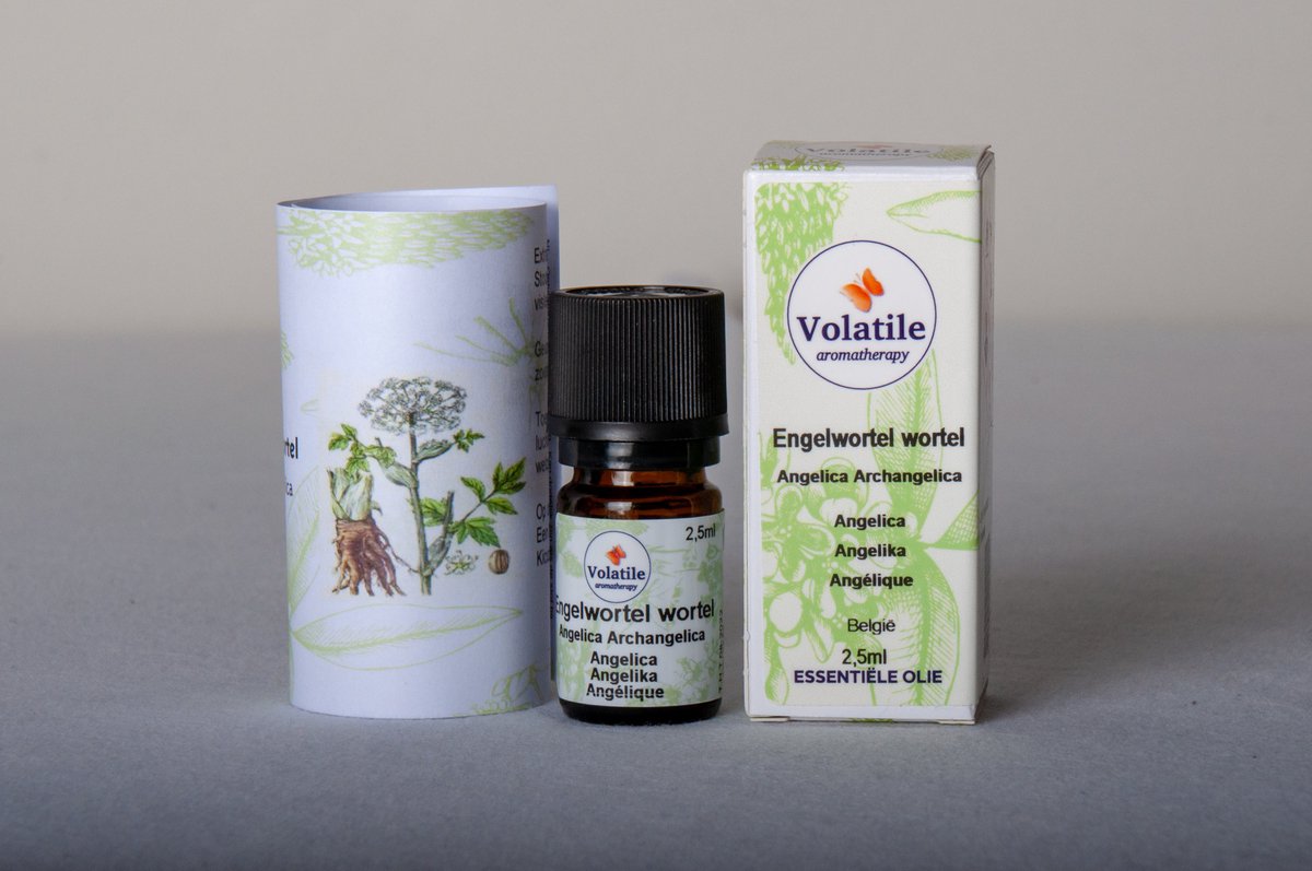 Goedkoopste Volatile Engelwortel - 2.5 ml - Etherische Olie