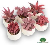 Greendream® Kunstplantjes Set 6 in Keramiek Potje - 6 Stuks Vetplanten - Cadeautip - Roze