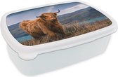 Broodtrommel Wit - Lunchbox - Brooddoos - Schotse Hooglander - Berg - Water - Natuur - Koe - 18x12x6 cm - Volwassenen