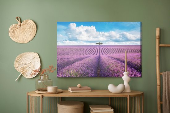 Schilderijkoning - Canvas Schilderij Lavendel Veld - 100 x 70 cm
