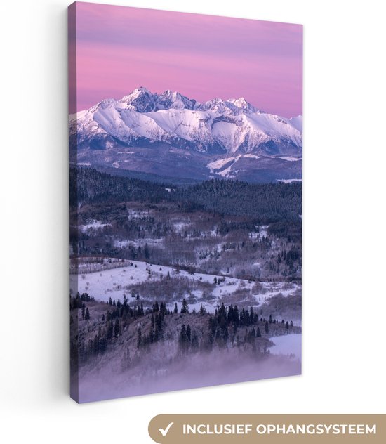 Een canvas met een besneeuwd berglandschap met roze lucht, inclusief ophangsysteem.