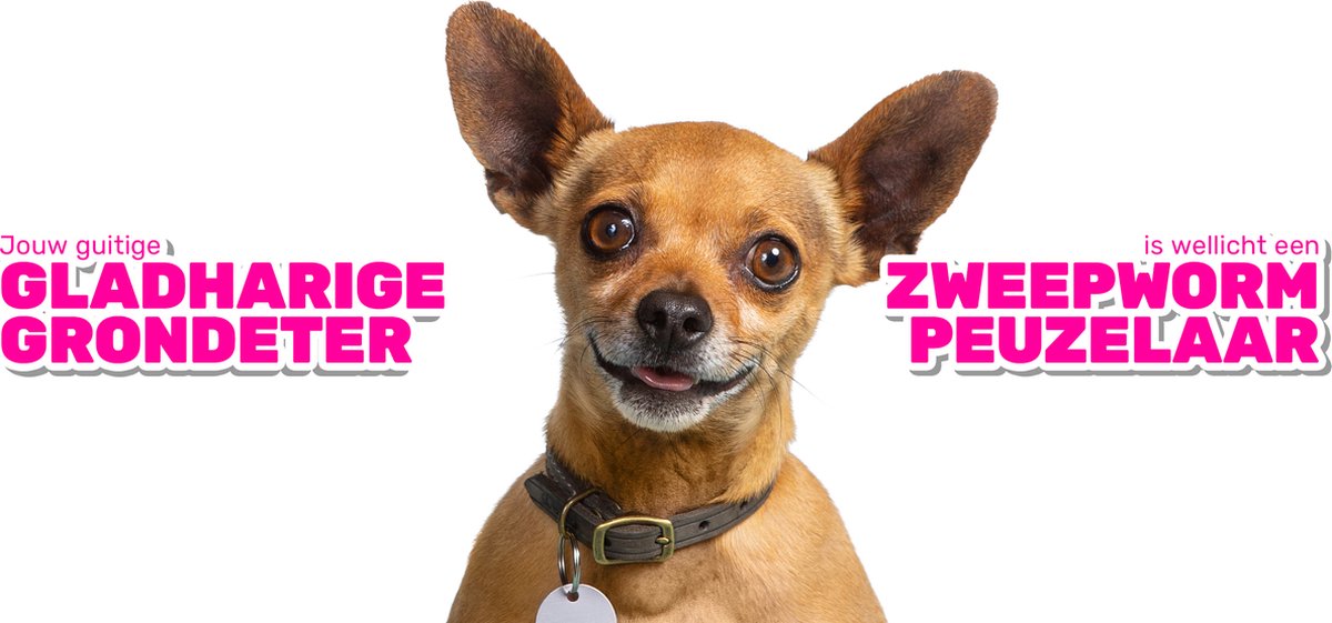 Milbemax Milbemax Pup & Hond - Anti wormenmiddel - 4 tab 0.5 Tot 10 Kg — afbeelding 4