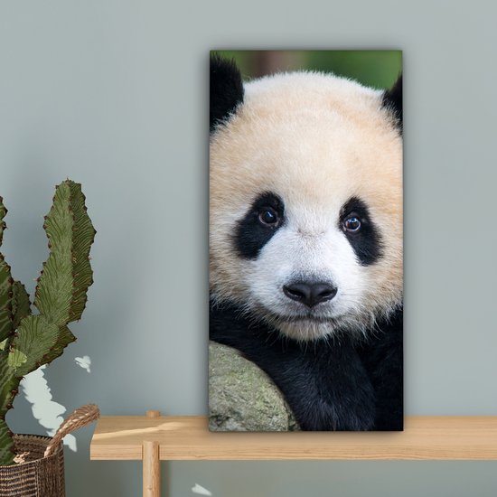 OneMillionCanvasses - Canvas - Panda - Steen - Natuur - Muurdecoratie - 20x40 cm - Canvas schilderij - Canvas doek