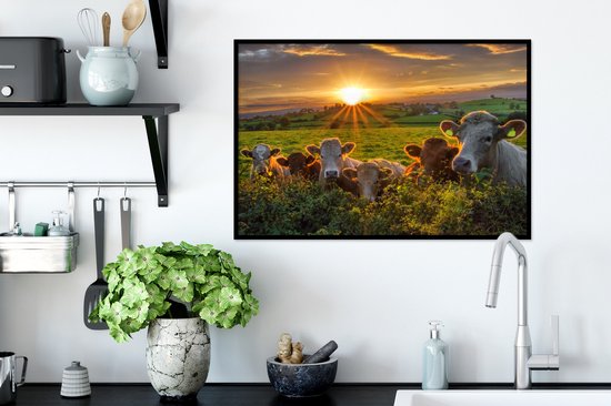 Photo encadrée - Cadre photo Vaches en Irlande noir sans passe partout 60x40 cm - Affiche encadrée (Décoration murale salon / chambre)