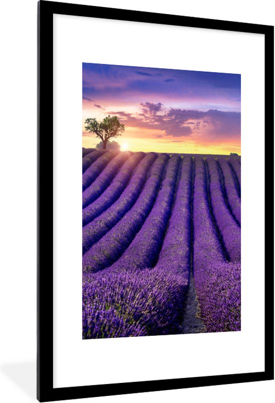 PosterMonkey - Poster - Fotolijst - Bloemen - Zonsondergang - Lavendel - Landschap - Bomen - Poster met frame - 60x90 cm - Kader - Posterlijst - Foto in lijst - Poster natuur - Poster lavendel