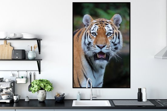 Cadre photo avec affiche - Tigres - Bâillement - Nature - 60x90 cm - Cadre pour affiche