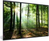 Affiche avec cadre Forêt - Soleil - Feuilles - 30x20 cm