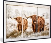 Affiche avec cadre Highlander écossais - Transparent - Vache - 30x20 cm
